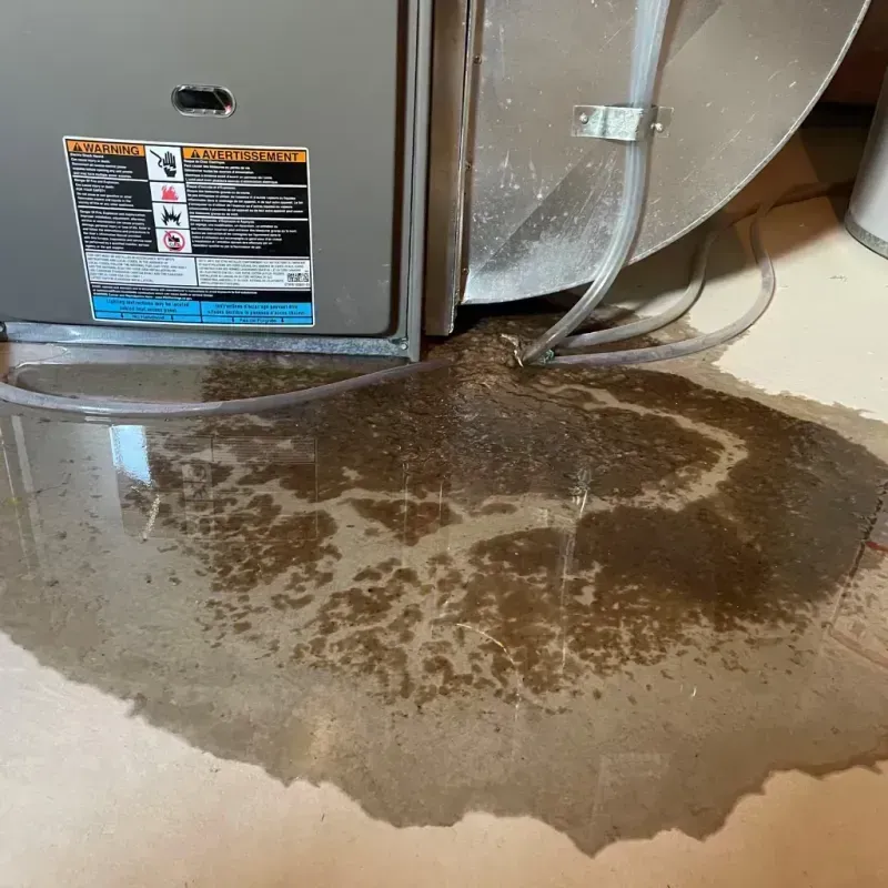 Appliance Leak Cleanup in Newark, AR